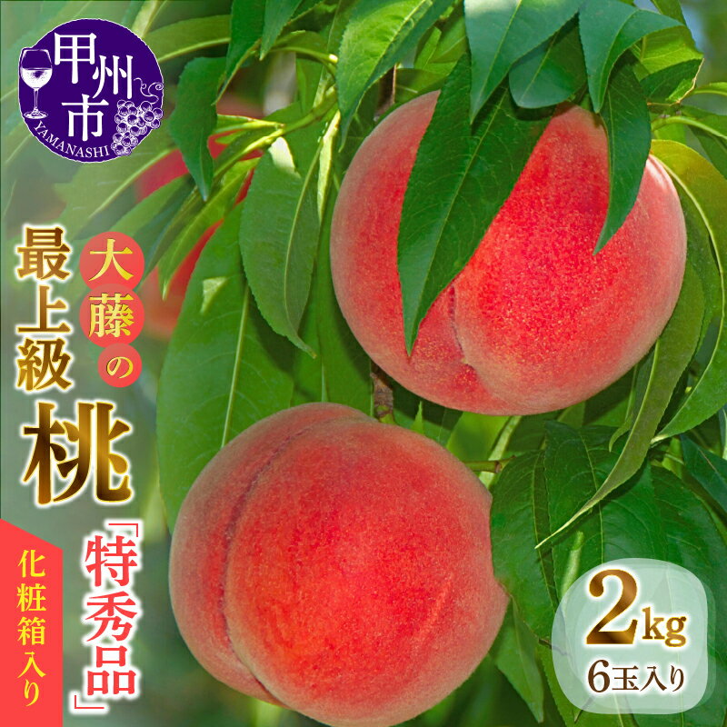 【ふるさと納税】 桃 2kg 6玉入り 山梨県 特秀品 甲州