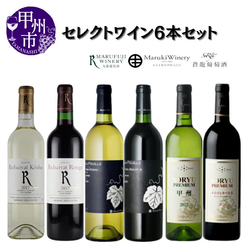 【ふるさと納税】 ワイン 赤ワイン 白ワイン セット セレクトワイン 6本 飲み比べ まるき葡萄酒 蒼龍葡萄酒 丸藤葡萄酒 甲州 母の日 父の日 記念日 ギフト 家庭用 山梨 甲州市 (MG) 【E3-651】