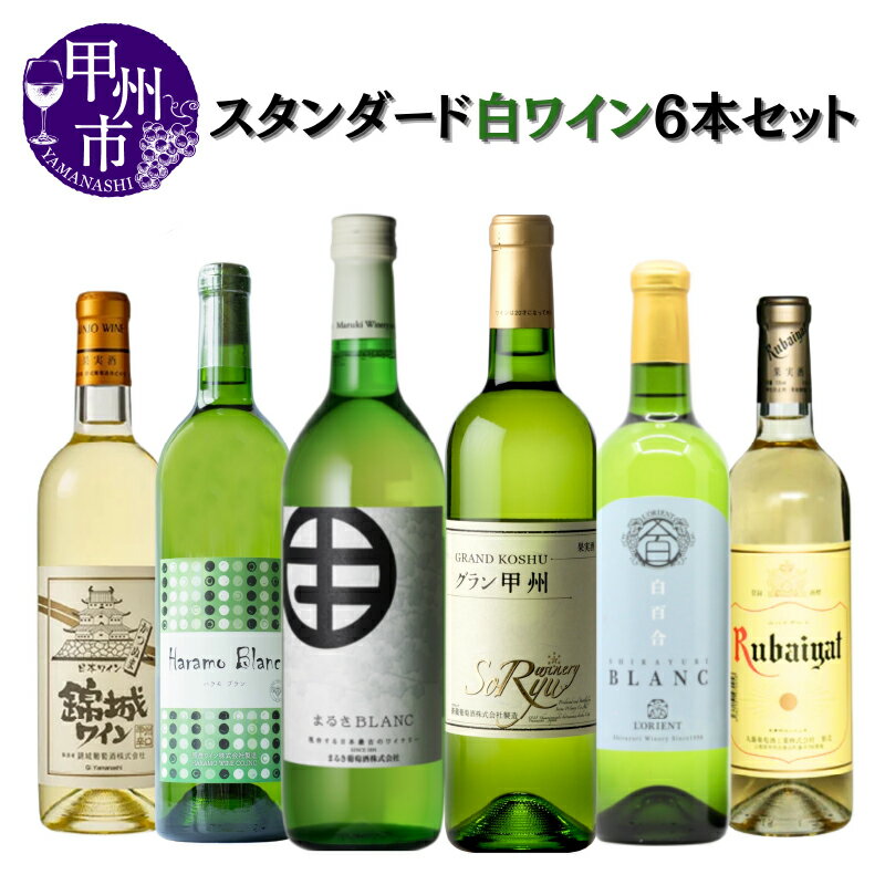 【ふるさと納税】 ワイン 白ワイン セット テーブルワイン 6本 飲み比べ 蒼龍葡萄酒 まるき葡萄酒 丸藤..