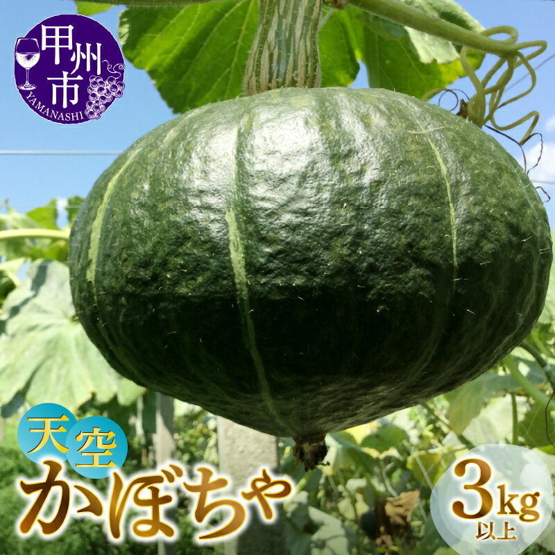 【ふるさと納税】 甲州天空かぼちゃ 大玉2玉入り 3kg以上 甲州市産 空中栽培 野菜 甘い 大玉 数量限定 2024年発送 ぶどう棚利用 果菜 南瓜 カボチャ山梨県 MG 【A07-472】