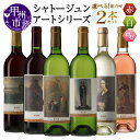 【ふるさと納税】 ワイン 赤 白 ロゼ 各 750ml 2本 セット 選べる 組合せ シャトージュン アートシリーズ ミレー マスカットベーリーA主体 メルロ主...