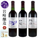 【ふるさと納税】 ワイン 赤ワイン 720ml 3本 セット 岩崎醸造 グランド ホンジョー 勝沼 樽熟成 マスカットベーリーA 山梨 辛口 ミディアムボディ ...