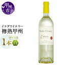 【ふるさと納税】 ワイン 白ワイン 750ml 1本 樽熟甲州 甲州 やや辛口 白 イケダワイナリー 熟成 樽 甲州種ぶどう 酒 お酒 山梨 母の日 父の日 記...