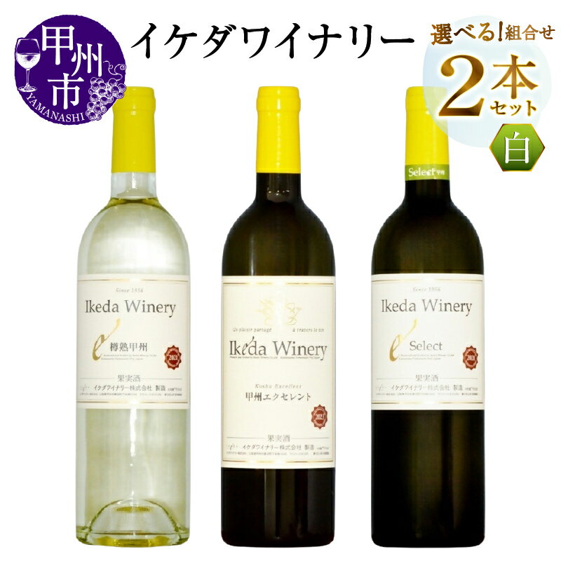 ワイン 白 選べる お届け内容 組合せ 2本 セット 750ml イケダワイナリー 樽熟甲州 甲州エクセレント セレクト白 甲州 白ワイン やや辛口 やや甘口 母の日 父の日 記念日 ギフト 贈答 プレゼント 酒 お酒 山梨県 甲州市 (MG)