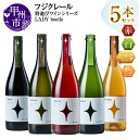 【ふるさと納税】 ワイン 赤 白 ロゼ スパークリング オレンジ 組合せ 750ml 5本 セット フジクレール 野遊びワイン LADY beetle 飲み比べ...