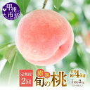 【ふるさと納税】 桃 定期便 2026年 先行予約 約2kg×2回 5~8玉 厳選 旬 果物 くだもの フルーツ もも 果実 人気 新鮮 白鳳系 白桃系 甲州市 山梨 期間限定 数量限定 6月~8月 発送 盛り合わせ 贈答 ギフト 家庭用 M's gift (MG) 【C-451】