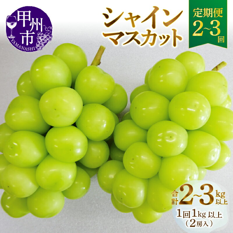 シャインマスカット 定期便 2回 3回 甲州市産 旬 選べる定期便 1kg以上 2房×2回 1kg以上 2房×3回 山梨県産 期間限定 9月 10月 2024年発送 産地直送 フルーツ 葡萄 ぶどう ブドウ 甘い 果実 人気 新鮮 社員マスカット (MG)