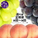 【ふるさと納税】 フルーツ 定期便 2026年 先行予約 選べる 2回 3回 果物 桃 約1.8kg 6~8玉 種無し巨峰 約1kg 2房 シャインマスカット 約1.1kg 2~3房 期間限定 数量限定 葡萄 ぶどう もも 甲州市産 山梨 旬 果実 厳選 社員マスカット (MG)