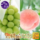 【ふるさと納税】 フルーツ 定期便 2回 桃 約2kg 5〜6玉 シャインマスカット 約1.2kg 2〜3房 果物 もも 大玉 白鳳系 白桃系 葡萄 ぶどう 大...