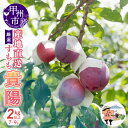 【ふるさと納税】 すもも 果物 貴陽 プラム 産地直送 2kg以上 7〜9玉 厳選 産地直送 フルーツ くだもの 甘味 ジューシー 甲州くだもの本舗 期間限定 ...