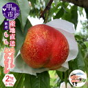 【ふるさと納税】 果物 ネクタリン スウィートネクタリン プラム 産地直送 2kg以上 (6~10玉) 厳選 毛なし桃 フルーツ くだもの 甘味 酸味 旬 もも モモ 2025年 7月 8月 発送 期間限定 数量限定 ギフト 贈答 山梨県 甲州市 (KKH) 【C-415】