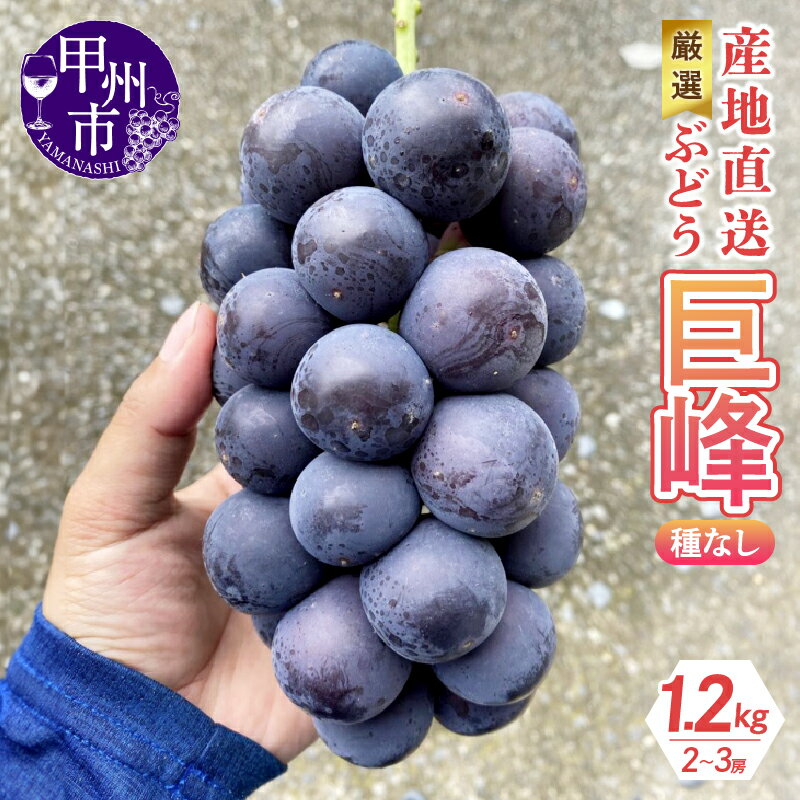 【ふるさと納税】 巨峰 黒ぶどう 種なし 1.2kg 2～3