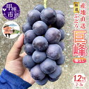 【ふるさと納税】 2026年 巨峰 黒ぶどう 種なし 1.2kg以上 2~3房 先行予約 果物 8月 9月 発送 厳選 産地直送 フルーツ ブドウ 果実 くだもの 期間限定 数量限定 家庭用 ギフト 贈答 山梨県 甲州市 (KKH) 【B-492】