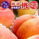 【ふるさと納税】 桃 大玉 フルーツ 約2kg 約3kg 甲