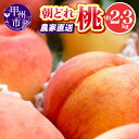 【ふるさと納税】 桃 2026年 先行予約 6月 7月 8月 9月 選べる 内容量 約2kg 約3kg 大玉 4~11玉 果物 もも フルーツ 甲州市 厳選 朝どれ 新鮮 果実 くだもの 池田青果 山梨県 白桃系 白鳳系 期間限定 数量限定 人気 盛り合わせ 発送 (IS)