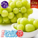 【ふるさと納税】 シャインマスカット 500g~1.2kg以上 1~3房 果物 選べる 内容量 山梨県産 厳選 農家直送 期間限定 旬 8月 9月 10月 11月 発送 2025年発送 フルーツ ぶどう 甘い 大きい 朝どれ 果実 くだもの 人気 甲州市 山梨 社員マスカット 10000 (IS)