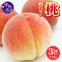 【ふるさと納税】 訳あり 桃 家庭用 加工用 3kg 7玉～