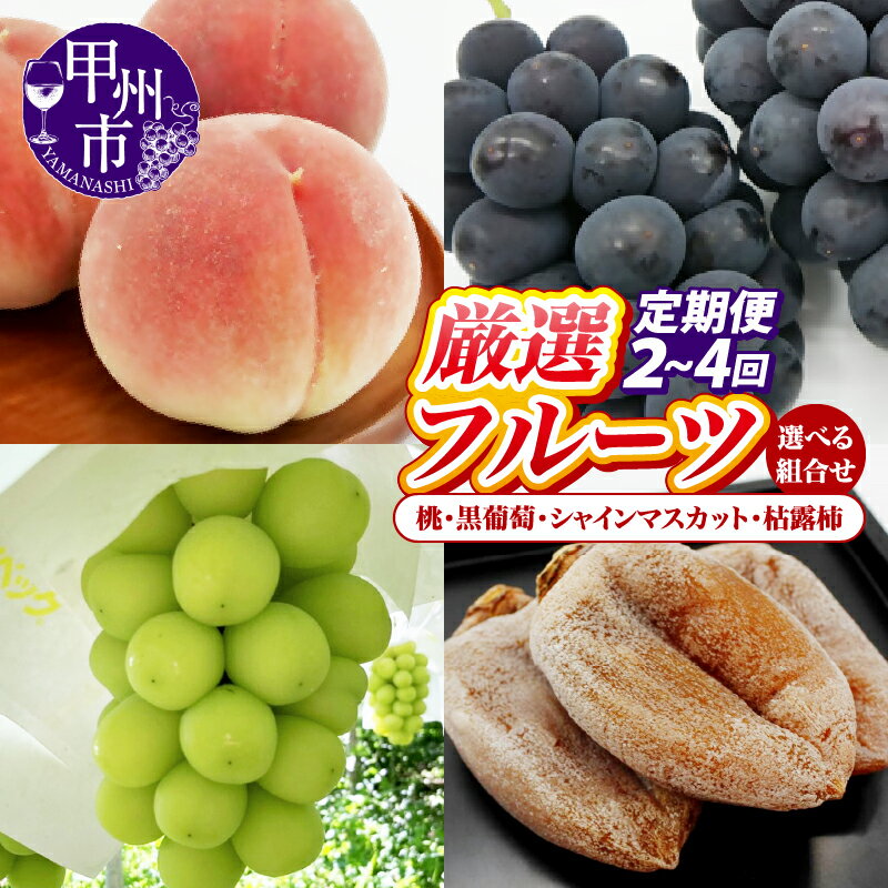 【ふるさと納税】 選べる 定期便 フルーツ 2回 3回 4回 桃 約2kg 大玉 5～7玉 黒葡萄 1kg 2房 シャイ...