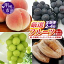 【ふるさと納税】 選べる 定期便 フルーツ 2回 3回 4回 果物 もも ぶどう 桃 約2kg 大玉 5〜7玉 黒葡萄 1kg以上 2房 シャインマスカット 1...