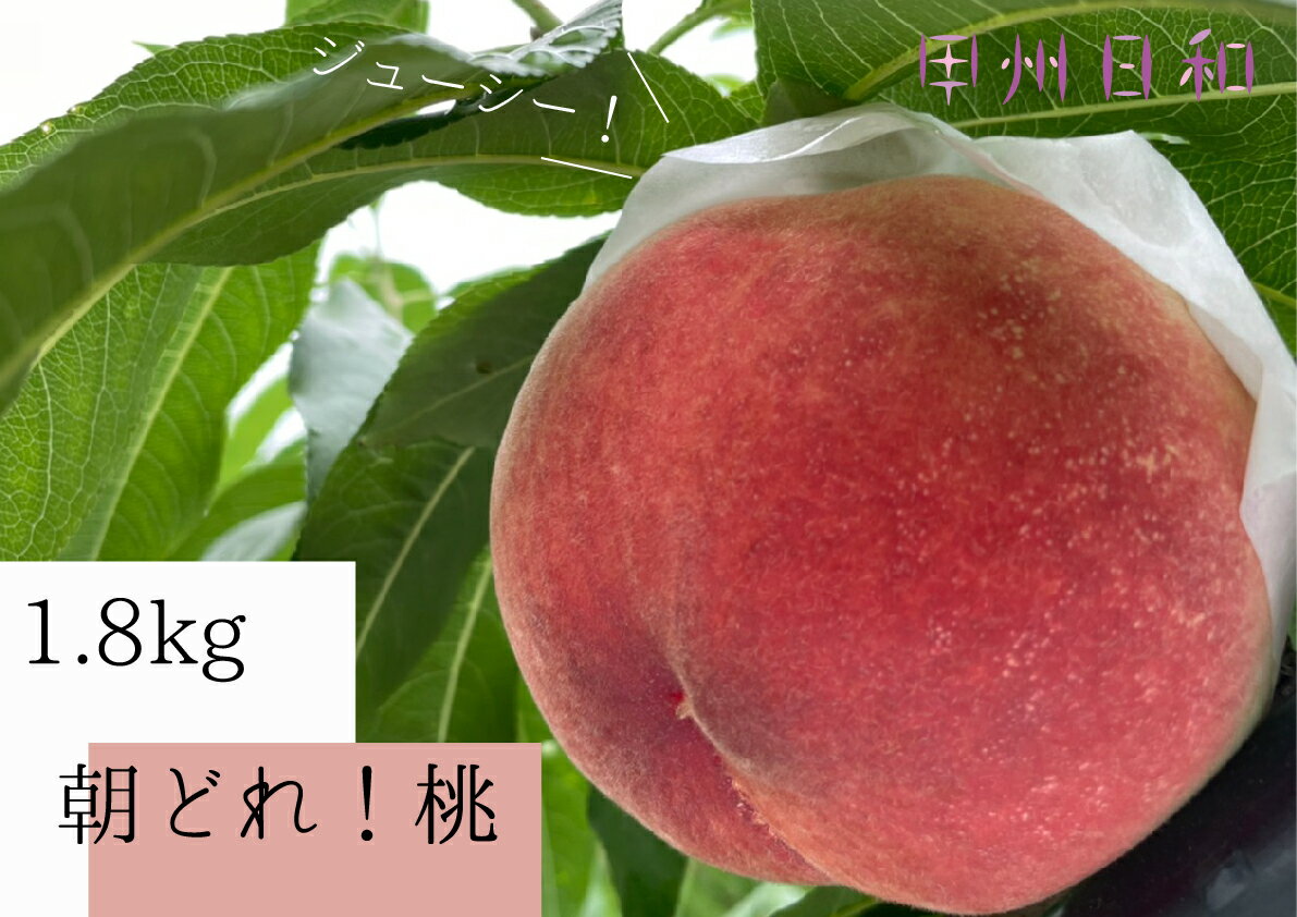 桃 農家直送 朝採れ桃 1.8kg 採れたて フルーツ 果物 山梨 甲州 （KSB） 【B15-175】