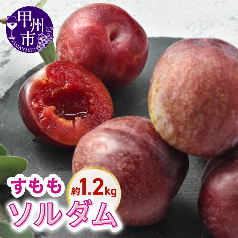 【ふるさと納税】 すもも ソルダム 約1.2kg 果物 フルーツ スモモ 山梨県産 完熟 甘い くだもの スモモ 常温 発送 期間限定 数量限定 甲州日和 家庭用 2025年発送 山梨県 甲州市 (KSB) 【B11-132】