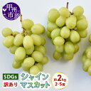 【ふるさと納税】 訳あり シャインマスカット 約2.0kg 2〜5房 果物 SDGs フードロス 山梨県産 フルーツ ジューシー 甘い くだもの ブドウ 葡萄 ...