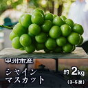 【ふるさと納税】 シャインマスカット 約2kg 3〜5房 果物 ぶどう フルーツ 厳選 朝どれ 産地直送 期間限定 数量限定 8月下旬〜10月上旬 発送 社員マ...