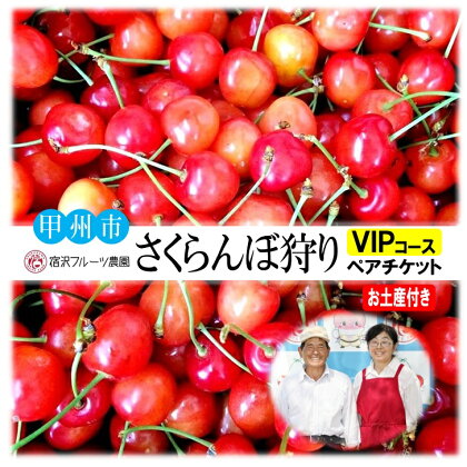 ペア チケット さくらんぼ狩り VIPコース お土産付 2024年分 宿沢フルーツ農園 新鮮 果物 フルーツ さくらんぼ 山梨県 甲州市 レジャー 観光 旅行 (SF) 【D-145】