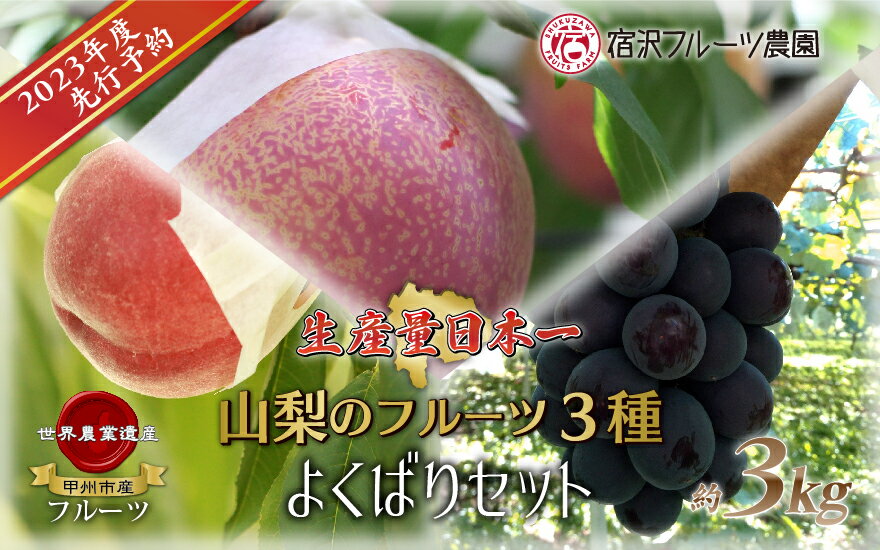 【ふるさと納税】フルーツ ぶどう もも すもも 甲州市 宿沢フルーツ 農園 三種のフルーツ よくばりセット 約3kg 【2023年先行予約】産地直送 甘い 果実 くだもの 人気 甲州市【C-172】(SF)のサムネイル