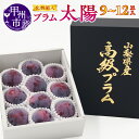 【ふるさと納税】 プラム 太陽 果物 9〜12玉 2025年発送 期間限定 宿沢フルーツ農園 フルーツ 甲州市産 すもも 高級 化粧箱入 ギフト 贈り物 山梨県...