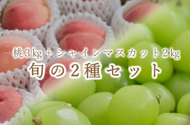 定期便 2回 桃 約3kg シャインマスカット 約2kg 粒詰め 2種 セット フルーツ 果物 産地直送 期間限定 7月中旬から9月上旬頃発送 2024年発送 数量限定 期間限定 自然農法 山梨 甲州市産 盛り合わせ 社員マスカット (BNC) 