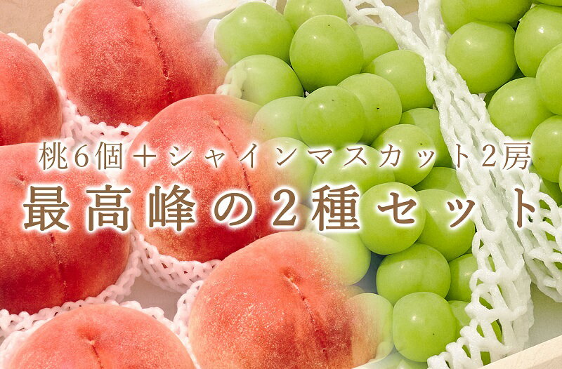 【ふるさと納税】 フルーツ 定期便 2回 桃 6個 約2.7kg シャインマスカット 2房 約1.3kg 果物 ぶどう 葡萄 くだもの 2025年発送 大玉 大粒 数量限定 期間限定 7月 8月 9月 発送 自然農法 甲州市 山梨 社員マスカット (BNC) 【E9-101】