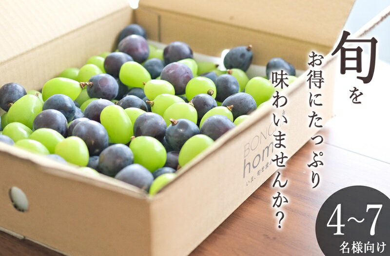 ぶどう シャインマスカット ピオーネ 粒詰め MIX 約2kg 果物 フルーツ 葡萄 ブドウ くだもの 2025年発送 甲州市産 盛り合わせ 甘い 果実 人気 冷蔵 クール 産地直送 期間限定 8月下旬〜9月下旬頃 発送 自然農法 山梨 社員マスカット (BNC) 