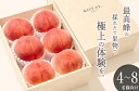 【ふるさと納税】 もも 6個入り 約2.7kg 果物 フルーツ 桃 くだもの 2025年発送 甲州市産 白鳳系 白桃系 大玉 果実 産地直送 数量限定 期間限定...