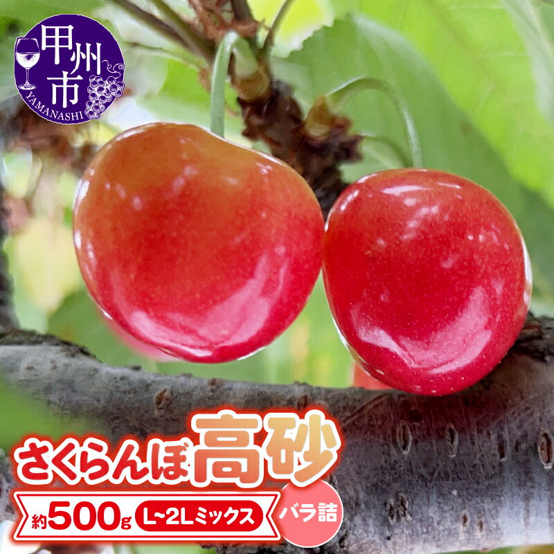 【ふるさと納税】 さくらんぼ 山梨県産 甲州市産 童夢 高砂 バラ箱 約500g L～2Lサイズ バラ詰め 【2024年発送】 果物 くだもの フルーツ チェリー 甲州市 (DOM) 【B-153】