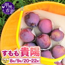 【ふるさと納税】 すもも 貴陽 大玉 8玉〜22玉 選べる内容量 約1.35kg〜約2.8kg 山梨県産 フルーツ 果物 完熟 甘い くだもの スモモ 冷蔵 発...