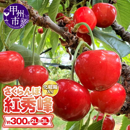 甲州市産 大粒 さくらんぼ 童夢 「紅秀峰」 約300g 選べるサイズ 化粧箱 高糖度 果物 フルーツ チェリー 山梨県産 旬 人気 ギフト 2024年発送 (DOM)