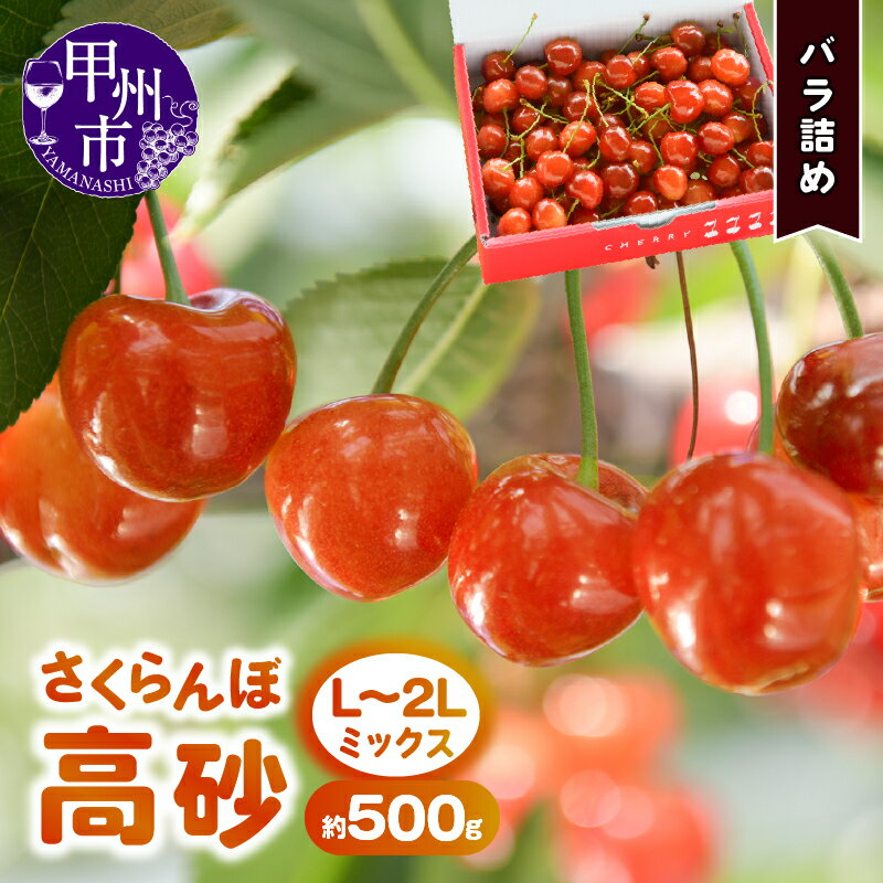 【ふるさと納税】 さくらんぼ 山梨県産 甲州市産 童夢 高砂 バラ箱 約500g L～2Lサイズ バラ詰め 【2024年発送】 果物 くだもの フルーツ チェリー 甲州市 (DOM) 【B-153】のサムネイル