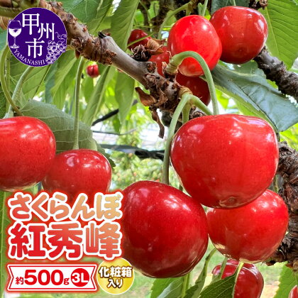 さくらんぼ 3Lサイズ 約500g 紅秀峰 甲州市 果物 くだもの フルーツ チェリー 童夢 大粒 甘い 化粧箱 贈答品 ギフト 化粧箱2段並べ 山梨県産 旬 人気 2024年発送 （DOM） 【C5-141】