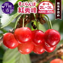 【ふるさと納税】 さくらんぼ 紅秀峰 簡易手詰め 選べる内容量 約200g〜約300g 2L〜3L 大粒 甘い 高糖度 糖度20度 果物 フルーツ チェリー 山...