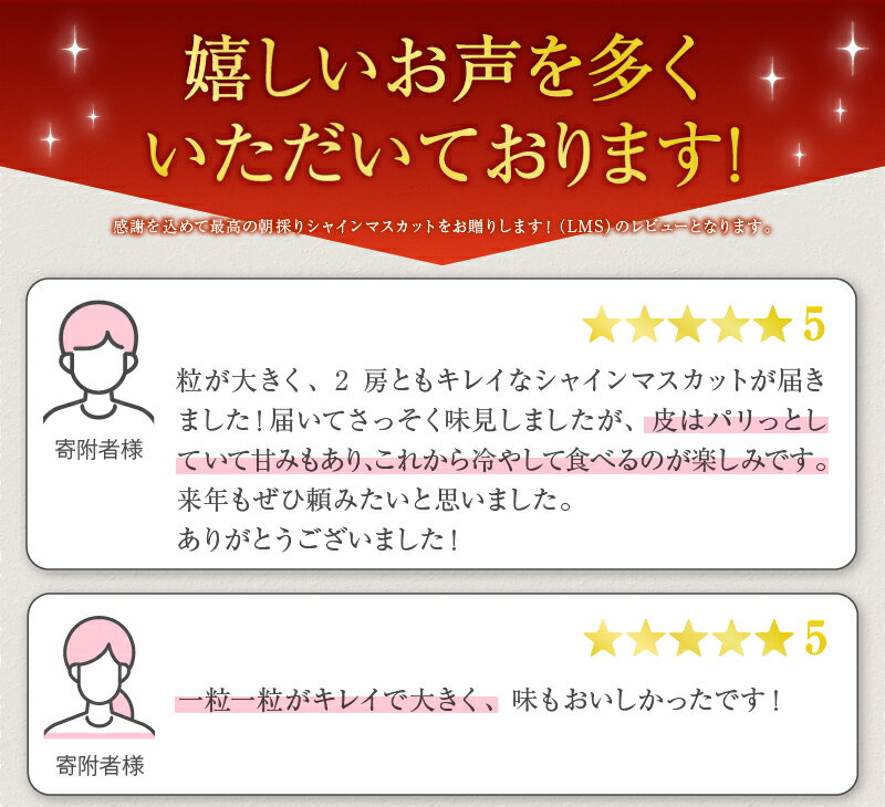 【ふるさと納税】 シャインマスカット 2026年 先行予約 選べる 内容量 1kg 2kg 3kg 5kg 2房 〜 11房 8月 9月 10月 発送 果物 葡萄 ぶどう マスカット 数量限定 期間限定 朝採り フルーツ 果実 産地直送 山梨県 甲州市 社員マスカット （LMS）