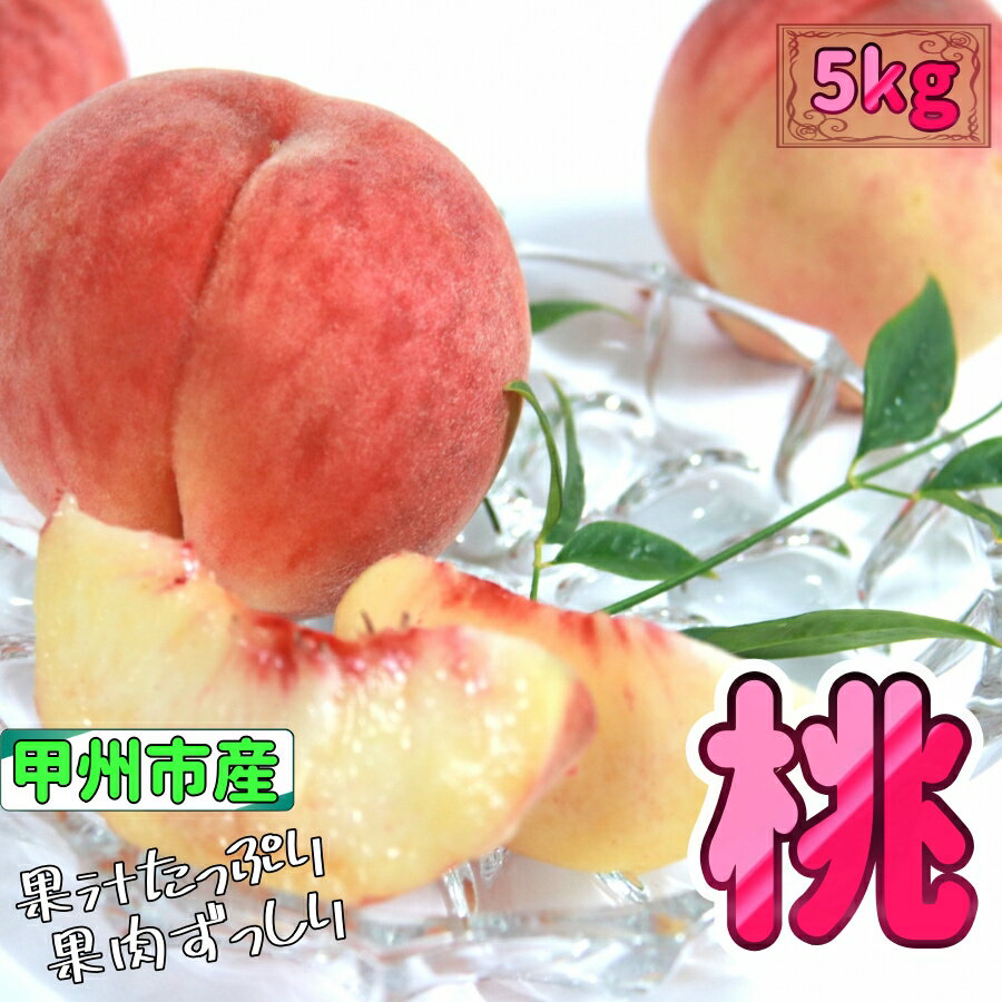【ふるさと納税】 桃 もも 5kg 12～14玉 フルーツ 