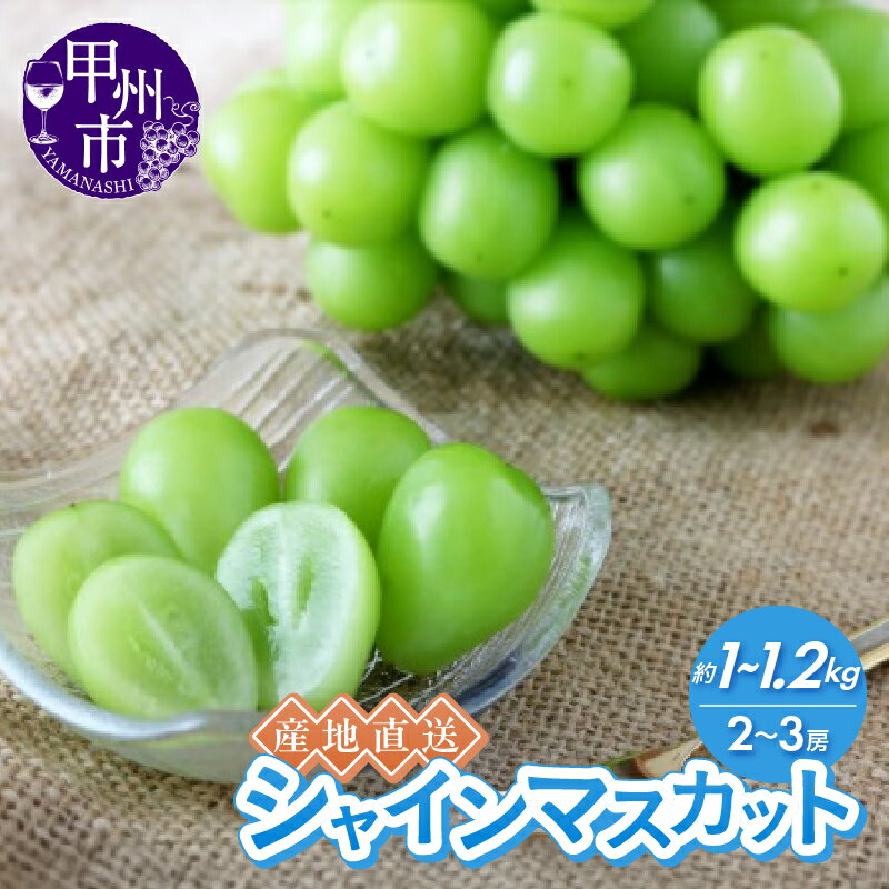 シャインマスカット 選べる内容量 約1〜1.2kg 2〜3房 甲州市産 フルーツ 果物 果実 2025年発送 産地直送 8月 9月 10月 発送 期間限定 数量限定 くだもの マスカット 葡萄 ぶどう 甘い 大きい やみつき 山梨県 甲州市 社員マスカット (RC)