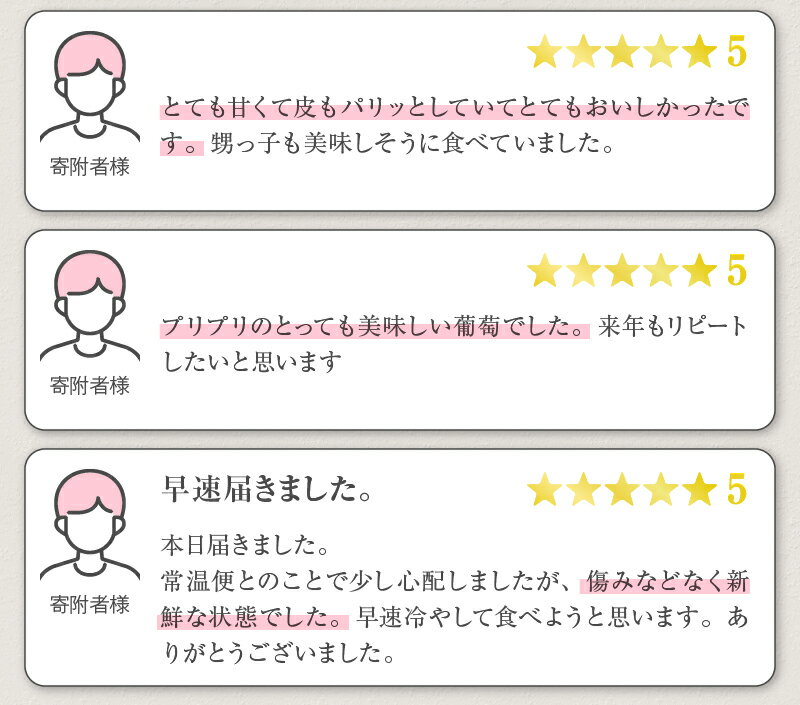 【ふるさと納税】 2026年 先行予約 シャインマスカット 選べる 内容量 1kg〜3kg以上 2〜6房 8月 9月 10月 発送 甲州市産 マスカット ぶどう 果物 新鮮 くだもの フルーツ 甘い 大きい 果実 人気 期間限定 発送 山梨県 甲州市 社員マスカット （RG）