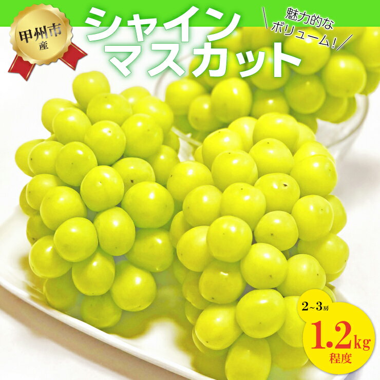 訳あり シャインマスカット 2～3房 約1.2kg 冷蔵 クール 規格外 フルーツ 人気 葡萄 ぶどう 甘い 果物 産地直送 期間限定 8月 9月 10月 発送 2024年発送 甲州市 山梨県 社員マスカット（SFK） 【B11-855】