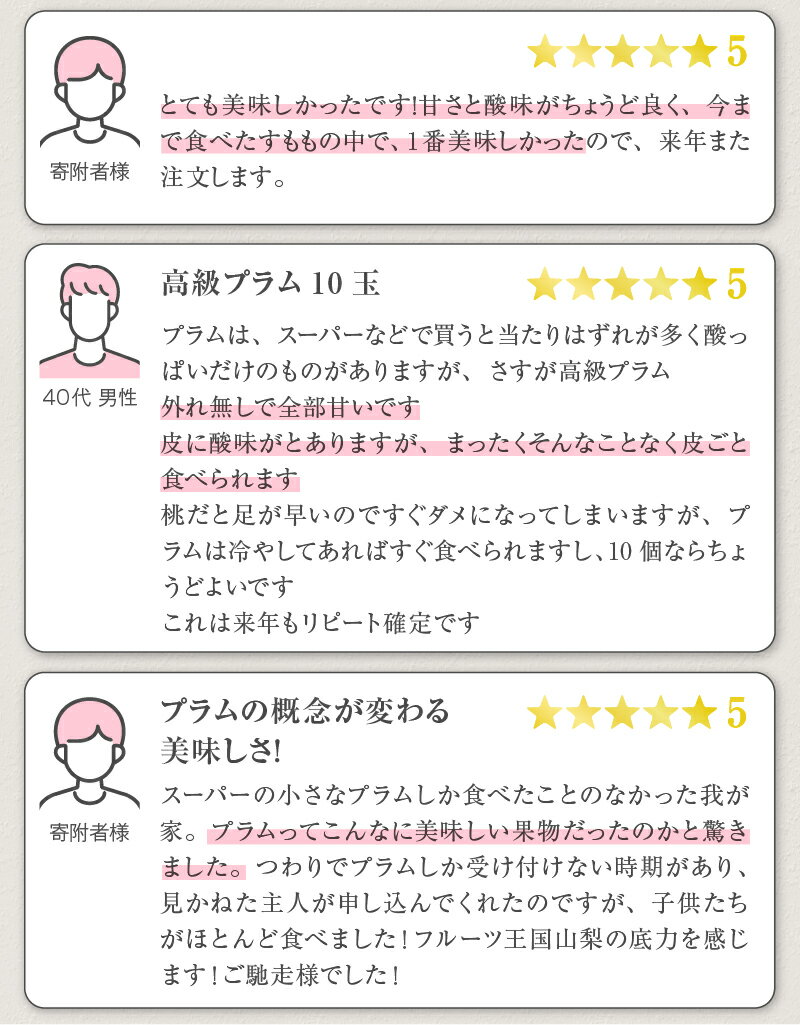 【ふるさと納税】 すもも 太陽プラム 2026年 先行予約 7月 8月 9月 発送 約1.7kg 9〜15玉 果物 フルーツ 太陽 プラム スモモ くだもの 期間限定 数量限定 化粧箱入り ギフト 贈答 厳選 果実 山梨県 甲州市 （APX） 【B-872】