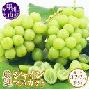 101位! 口コミ数「8件」評価「4.88」 シャインマスカット 選べる内容量 約1.2kg~2kg 2~5房 果物 山梨県 甲州市産 厳選くだもの フルーツ 種なし 葡萄 ぶどう ブドウ 数量限定 期間限定 2025年発送 8月 9月 10月・・・
