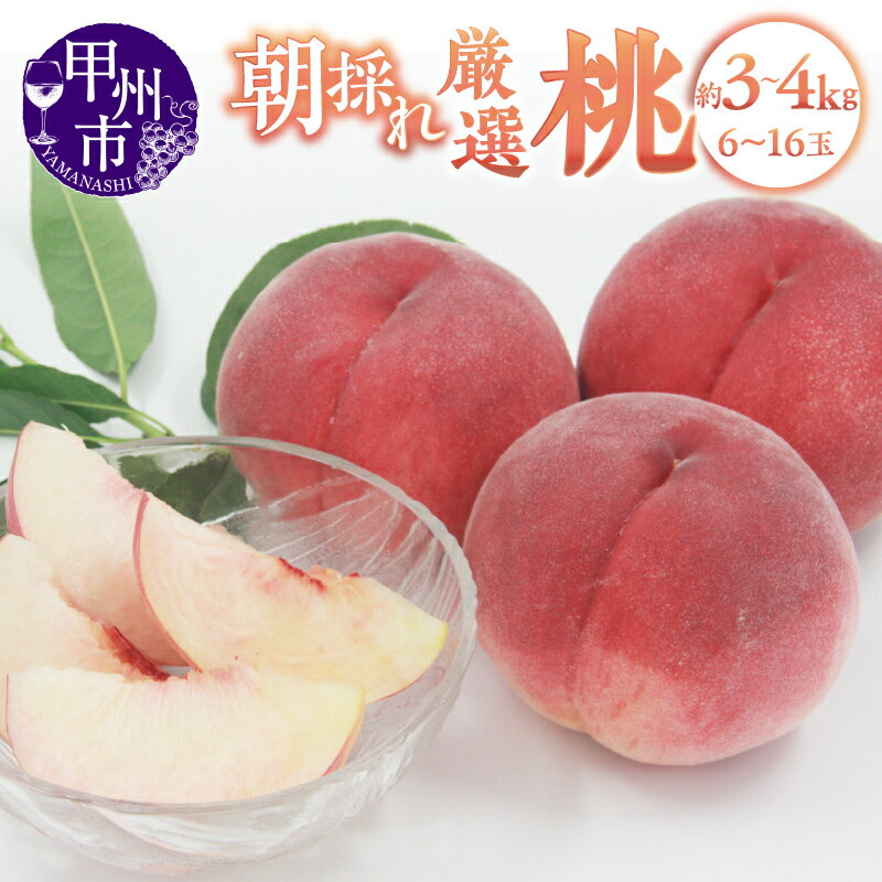 桃 選べる内容量 約3kg 約4kg 6〜16玉 果物 数量限定 白鳳系 白桃系 2025年発送 期間限定 甲州市産 山梨 厳選 もも 産地直送 旬の桃 フルーツ 盛り合わせ 人気 新鮮 贈答 ギフト 家庭用 6月下旬より発送 (APX)