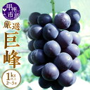 【ふるさと納税】 巨峰 ぶどう 2026年 先行予約 選べる 発送年 1kg以上 2~3房 果物 種なし 甲州市産 8月 9月 10月 発送 産地直送 果実 フルーツ 山梨 黒ブドウ 葡萄 期間限定 数量限定 厳選 贈答 ギフト (APX)