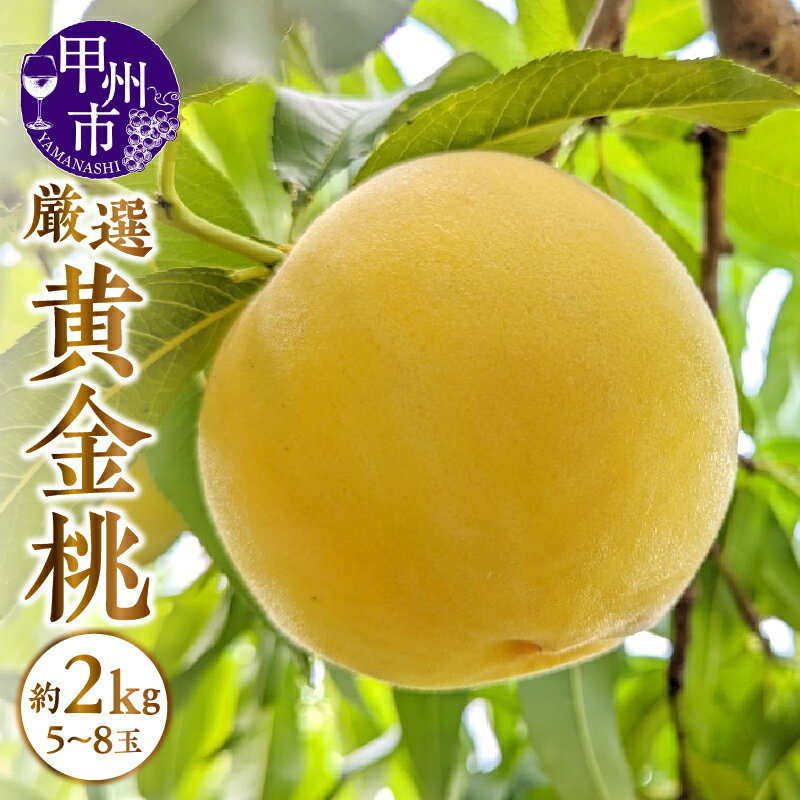 桃 黄金桃 ゴールデンピーチ 約2kg 5〜8玉 甲州市産 山梨 厳選 果物 フルーツ (APX) 